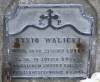 Grave of Rysio Walicki